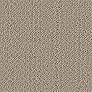 Crucial Trading Snug Soft Sands Carpet SN501