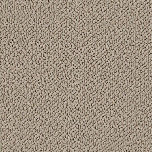 Crucial Trading Snug Soft Sands Carpet SN501