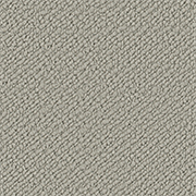 Crucial Trading Snug Starlight Grey Carpet SN503