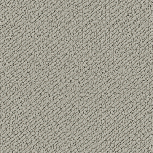 Crucial Trading Snug Starlight Grey Carpet SN503