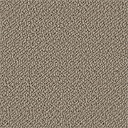 Crucial Trading Snug Warm Glow Carpet SN502