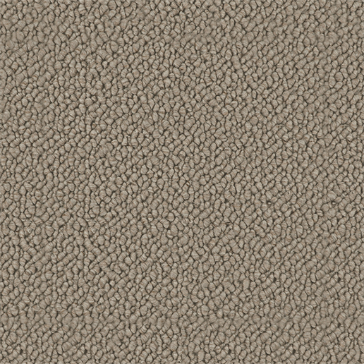 Crucial Trading Snug Warm Glow Carpet SN502