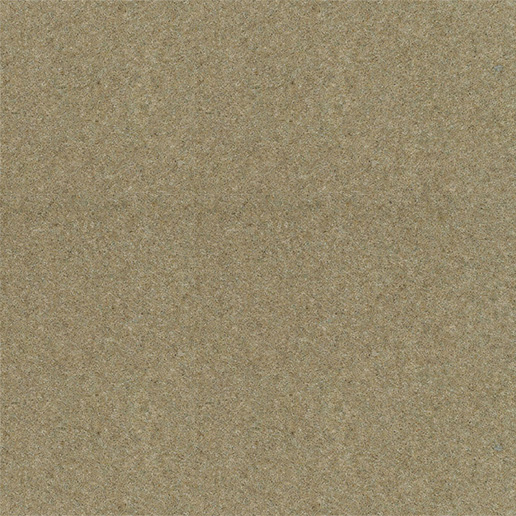 Victoria Carpets Tudor Regal 53oz Twist Fawn TT521