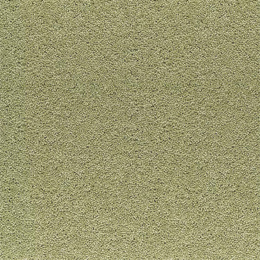 Adam Carpets Castlemead Twist Adams Apple CD127