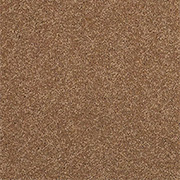 Adam Carpets Castlemead Twist Cajun Spice CD97 at Kings of Nottingham for the best fitted prices on all Adam Carpets.