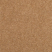 Adam Carpets Castlemead Twist Cream Caramel CD95 at Kings of Nottingham for the best fitted prices on all Adam Carpets.