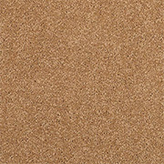 Adam Carpets Castlemead Twist Cream Caramel CD95 at Kings of Nottingham for the best fitted prices on all Adam Carpets.