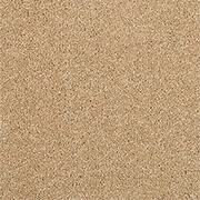 Adam Carpets Castlemead Twist Desert Sand CD55 at Kings of Nottingham for the best fitted prices on all Adam Carpets.