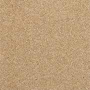 Adam Carpets Castlemead Twist Desert Sand CD55 at Kings of Nottingham for the best fitted prices on all Adam Carpets.