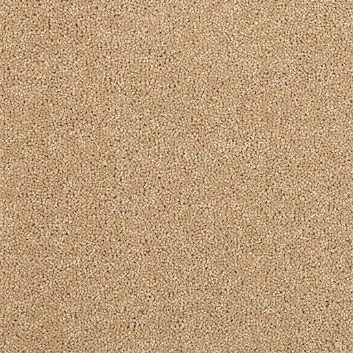Adam Carpets Castlemead Twist Desert Sand CD55