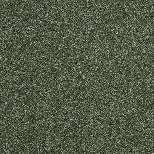 Adam Carpets Castlemead Twist Jungle Green