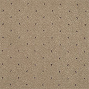 Adam Carpets Catherine Morning Latte Pinpoint CP04