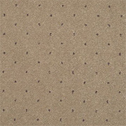 Adam Carpets Catherine Morning Latte Pinpoint CP04