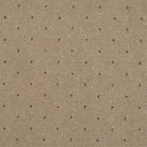 Adam Carpets Catherine Morning Latte Pinpoint CP04