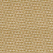 Adam Carpets Enigma Dandelion EN02 - At Kings Carpets the home of quality carpets at unbeatable prices - Free Fitting 25 Miles Radius of Nottingham