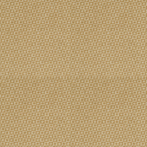 Adam Carpets Enigma Dandelion EN02