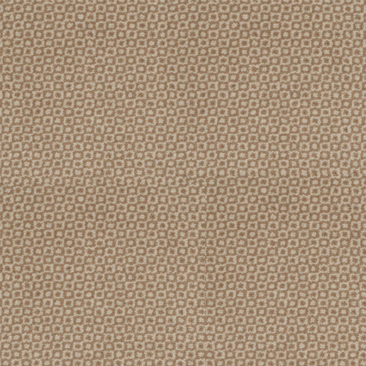 Adam Carpets Enigma Tapioca EN01