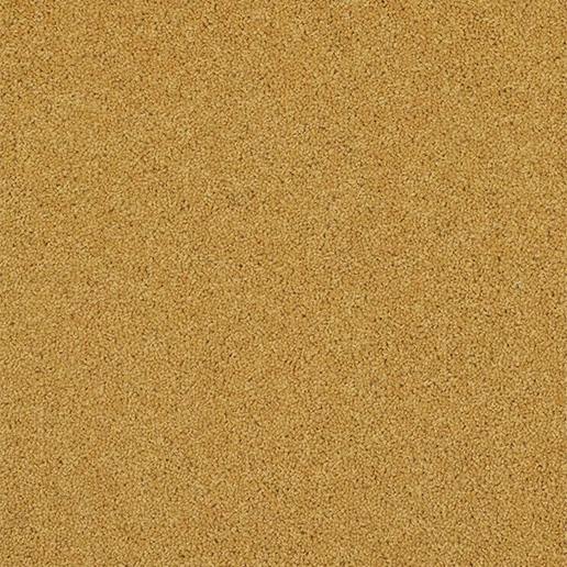 Adam Carpets Fine Worcester Twist Hampton Hive FW132 