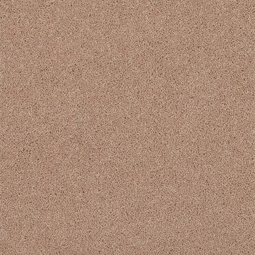 Adam Carpets Fine Worcester Twist Longdon Lace FW127