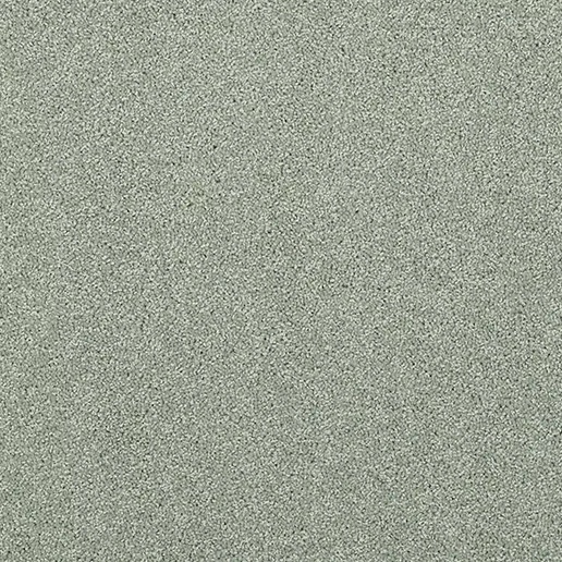 Adam Carpets Fine Worcester Twist Pirton Palm FW86