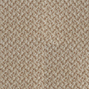 Adam Carpets Revelation Spicy Bloom VT14