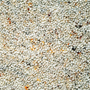 Adam Carpets Rustic Berber Twist Caraway RB01