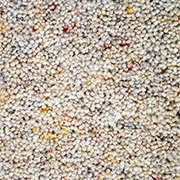 Adam Carpets Rustic Berber Twist Sesame RB01
