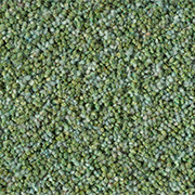 Adam Carpets Sylvan Shadows Grasmere Green SY07