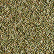 Adam Carpets Sylvan Shadows Oakham Olive SY06