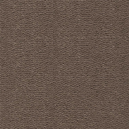 Best Wool Carpets Tasman 131