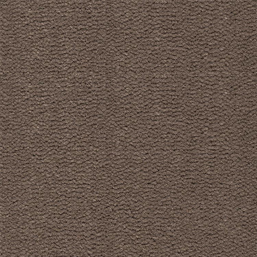 Best Wool Carpets Tasman 131