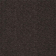 Best Wool Carpets Tasman 179 from Kings Interiors for the very best prices on all Best Wool Carpets. Call us on 0115 9455584. for the very best fitted or supply only price