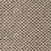 Best Wool Carpets Venus 193 from Kings Interiors for the very best prices on all Best Wool Carpets. Call us on 0115 9455584. for the very best fitted or supply only price
