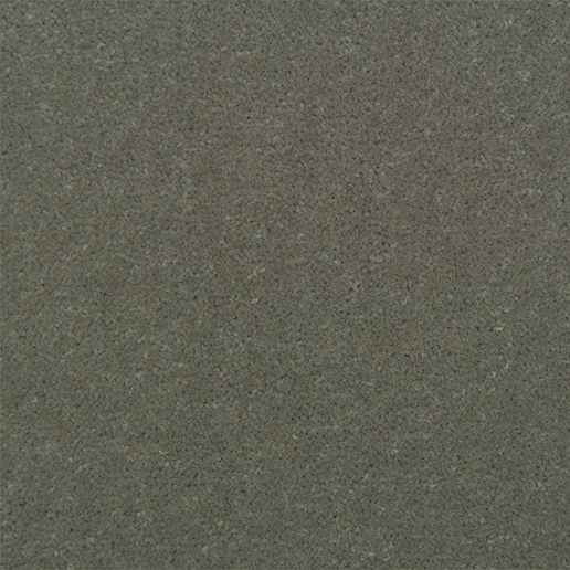 Causeway Carpets Fine Velvet Silver Cloud