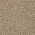 Cormar Carpets Primo Naturals Wild Honey