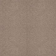 Cormar Carpets Trinity Biscuit - Easy Clean Twist Carpet - Free Fitting Within 25 Miles of Nottingham
