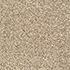 Everyroom Carpet Barcombe Caramel