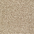 Everyroom Carpet Barcombe Caramel