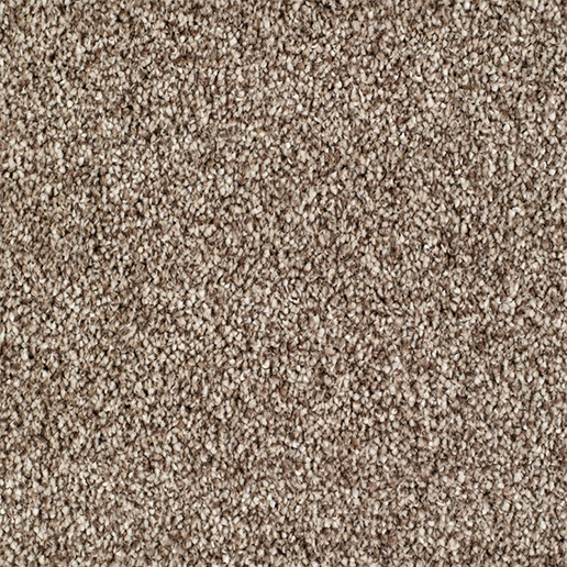 Everyroom Carpet Barcombe Camel