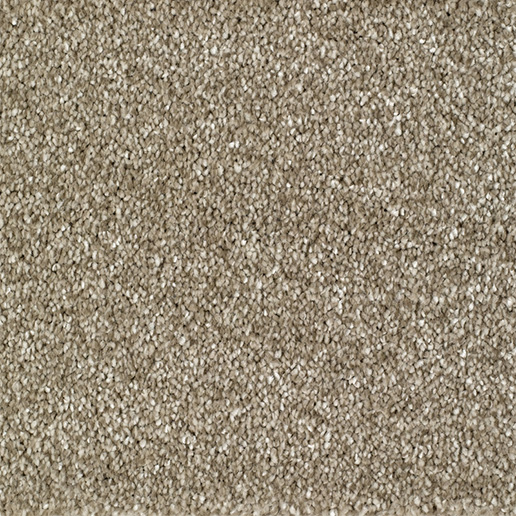 Everyroom Carpet Barcome Fawn