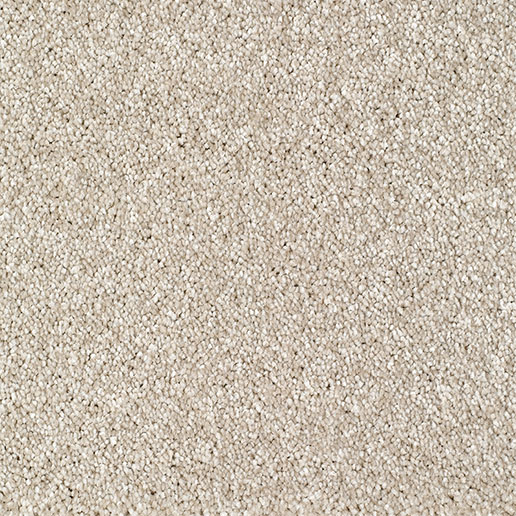 Everyroom Carpet Bridgeport Cream