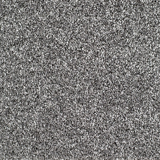 Everyroom Carpet Bridgeport Iron