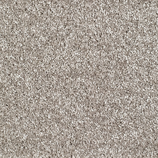 Everyroom Carpet Bridgeport Mink