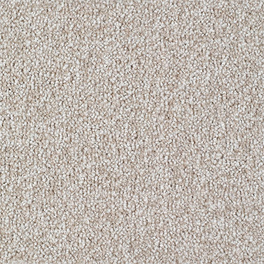 Everyroom Carpet Carrick Cove Cream