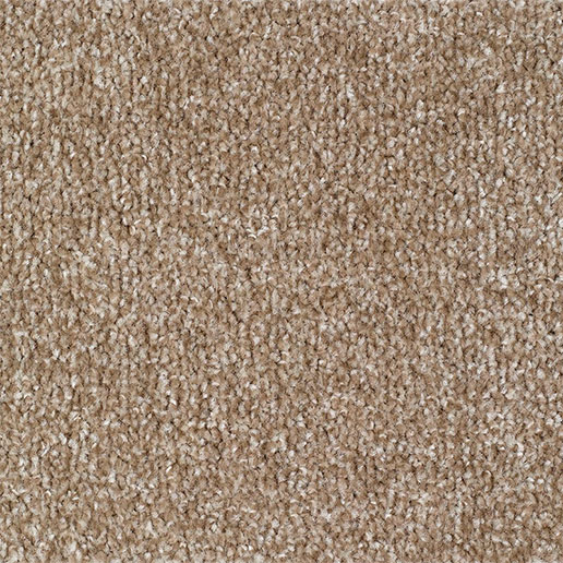 Everyroom Carpet Carrick Cove Mink