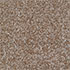 Everyroom Carpet Carrick Cove beige