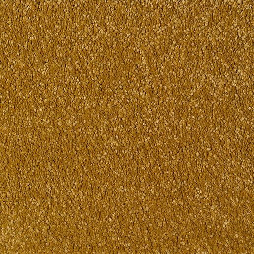 Everyroom Carpet Eastbourne Elite Mustard