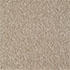 Everyroom Carpet Eastbourne Luxury Biscuit