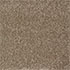 Everyroom Carpet Eastbourne Luxury Mink