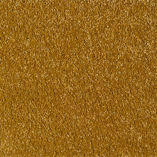 Everyroom Carpet Eastbourne Luxury Mustard